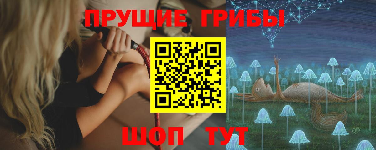 купить наркотики сайты  Вход с VPN  Похвистнево  Галлюциногенные грибы ЛСД  Псилоцибиновые грибы Psilocybine cubensis 
